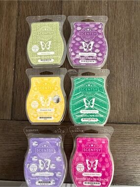 Scentsy Wax Bar Bundle of 6 Tropical Fruity Summer Scents Pineapple Rose